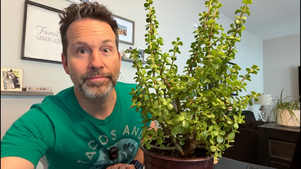 Latest Title & Thumbnail