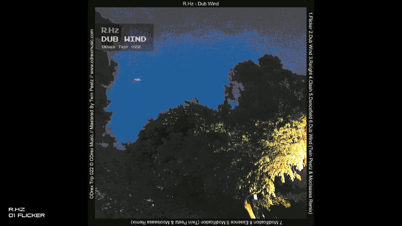 R.Hz - Dub Wind - 01 Flicker