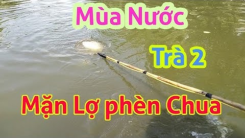 thực tế trên sông kích cá rô phi nổi đẹp nước mặn ngọt lợ phèn chua LH 0362921480