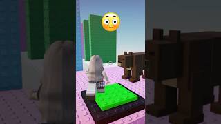 Brown Bear Trolling🐻