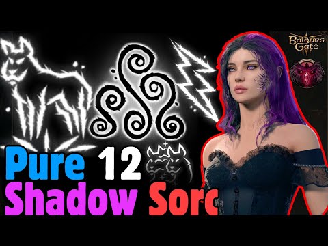 PURE 12 SHADOW MAGIC SORCERER Build In Baldur S Gate 3