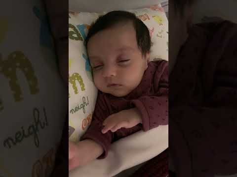 چهل و پنجمین روز زندگی من  45    