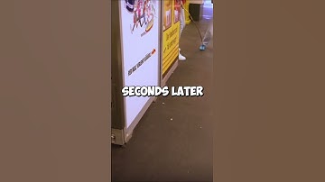 Do NOT Watch This Video If You Hate Spiders 🕷