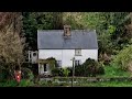 The Dog Breeders House, Black And White Mould Everywhere...