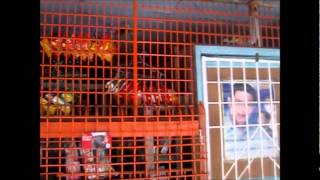 SoftDrinks screenshot 2