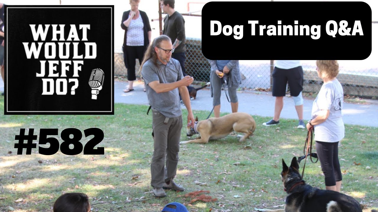 dog trainer in delhi Dog Training - Socializing Dogs - Reactive Dog Training - What Would Jeff Do? Q&A Ep.582 (2019)
