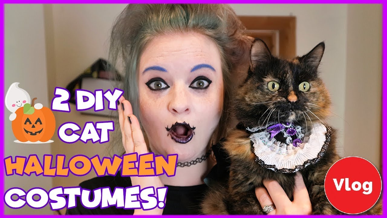 2 Easy Diy Halloween Costumes For Your Cat Diy Cat Halloween