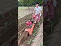 #25cm Gasoline-Powered Weeder #4WD #MultiFunctional: Tilling Weeding Trenching #mini #tiller #shorts