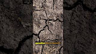 The Mega-Drought: Did a century of dry weather destroy their crops and their faith?Endless Warfare