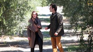 A Stroll In The Olive Groves Of Spains Masía El Altet