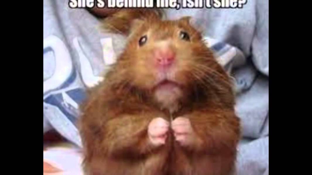Isn t she funny. Isn t she funny