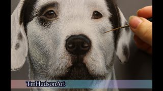 How to paint realistic wirey white fur in acrylic - complete painting tutorial.