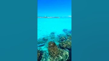 #آية_الكرسي #القرآن_الكريم #اكسبلور #nature #سورة_الواقعة #آيات #تيك_توك #سورة_البقرة #راحة_نفسية