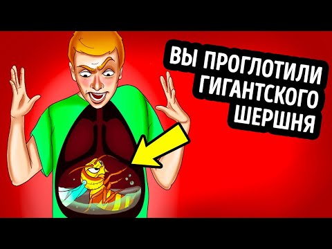 Видео: Путешествие с домашними животными? Что нужно запомнить перед тем, как уйти