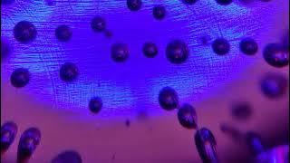 robert hood / unix / axis // forwards and reverse 33 rpm