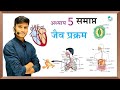    life processes one shot  jaiv prakram class 10th  biology science by pankaj sir