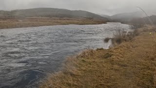 Celebrity Part 2: Eucembeme River Spawn run 2026 End of season Alpine Fly fishing.  Net Worth