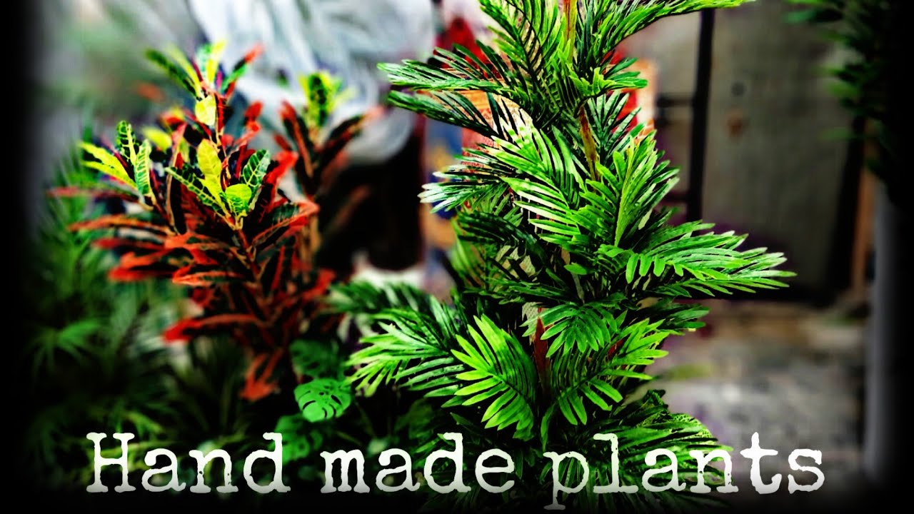 Best indoor plants/Best indoor plants for pakistan/ 16 Best indoor plants/ beautiful indoor plants.