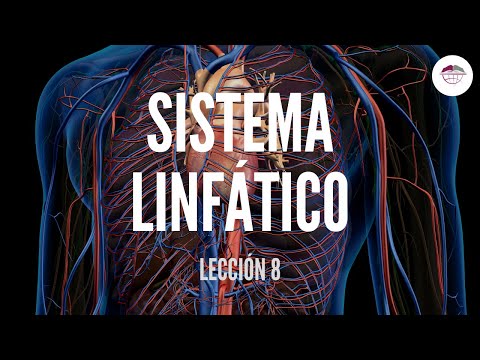 Vídeo: Diferencia Entre El Sistema Circulatorio Y El Sistema Linfático