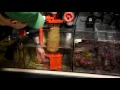 Electrical Trouble in the Tank with Biopellets Electrical Trouble in the Tank with Biopellets