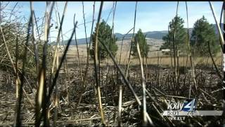 Spokane Co. officials investigating suspected arson fires