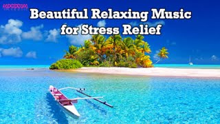 Download lagu Shadoma | Mini Vandals | Beautiful Relaxing Music for Stress Relief