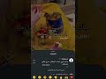 متت، #jimin #اكسبلور #اكسبلور #اهميه #blackpinksong #cute #اعتني #kpopsong #المراه #jisoosnowdrop