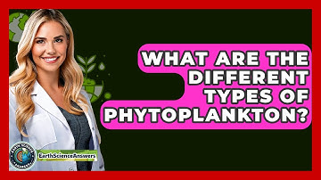What Are The Different Types Of Phytoplankton? - Earth Science Answers