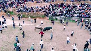 Peleas De Toros En El Distrito De Frías Bicentenario 2025
