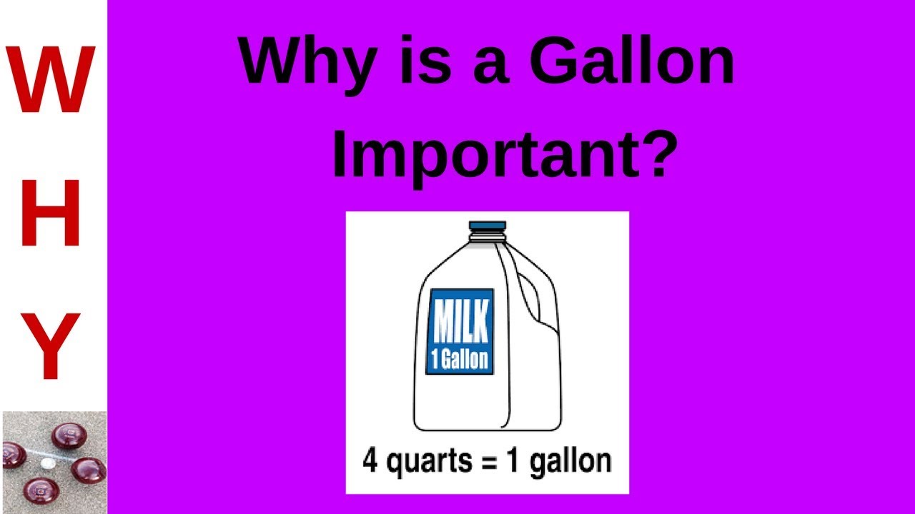 Gallon - YouTube