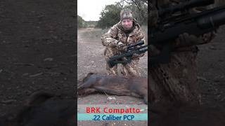 Compatto .22 Air Rifle Drops A Hog
