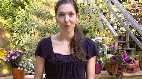 B-School w/ Marie Forleo vid by Terri Davies