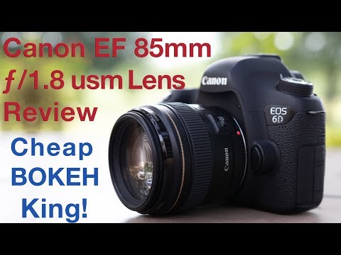 Canon EF 85mm f/1.8 usm Lens Review BOKEH King!