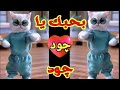 اغنية باسم جود بحبك يا جود السعودية الامارات تركيا العراق قطر مسقط البحرين الجزائر الكويت دبي جده اغنية باسم جود بحبك يا جود السعودية الامارات تركيا العراق قطر مسقط البحرين الجزائر الكويت دبي جده
