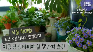 [4K] 7 Habits Beginner Plant Lovers Should Change Right Now