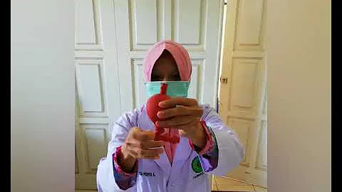 Praktikum Farmasi Fisik : Viskometer Ostwald