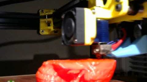 Celtic Skull timelapse!