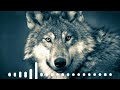 Turkish Attitude Ringtone Turkish Music Famous Turkish Ringtone AudioZone VR Relaxing Music Turkish Attitude Ringtone Turkish Music Famous Turkish Ringtone AudioZone VR Relaxing Music
