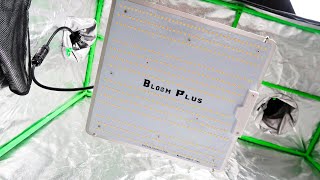 Bloom Plus BP-1500 LED Grow Light Unboxing, PAR Test & Heat Test!