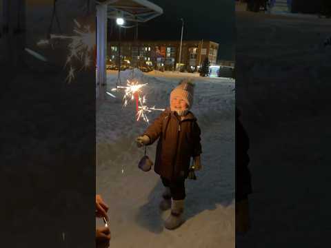 С Новым годом 🎄!!! С новым счастьем!!! #василиса #новыйгод #новогоднеечудо