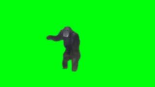Monkey banging on door green screen
