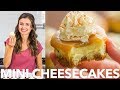 Mini Cheesecakes With Caramel Sauce Recipe 