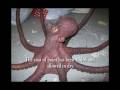 How to make a giant octopus