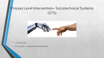 Process Level-Sociotechnical Systems