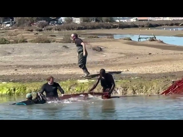 Despesque Salina Santa María de Jesús