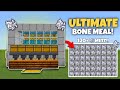 Best Bone Meal Farm in Minecraft 1.21 | Easy Tutorial