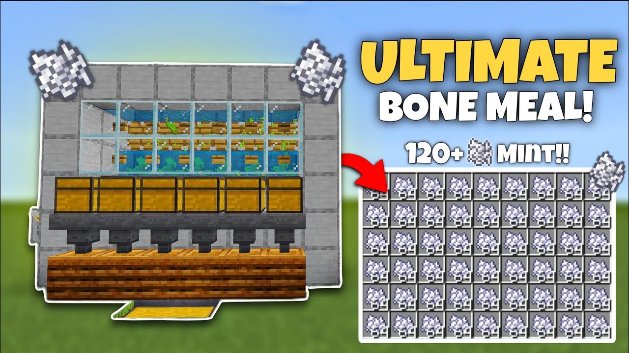 Best Bone Meal Farm in Minecraft 1.21 | Easy Tutorial - YouTube