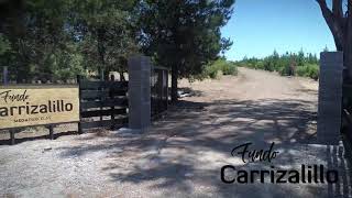 ¿Cómo llegar? - Fundo Carrizalillo