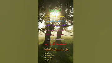 Maher Zain Laoulaka لولاك ماهر زين 