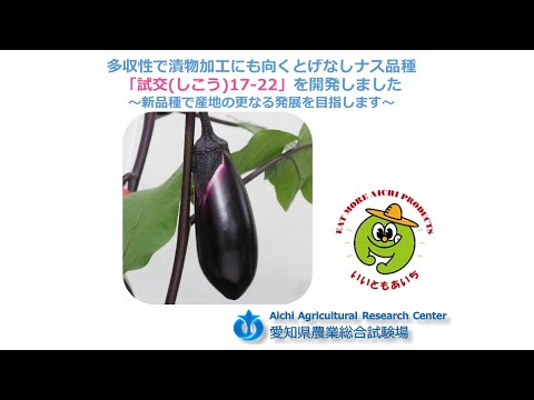 記者発表 とげなしナス品種「試交17-22」 - YouTube